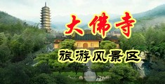 小骚穴被大鸡巴操的视频中国浙江-新昌大佛寺旅游风景区